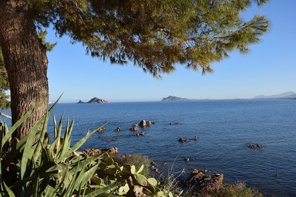 Appartamenti Da Vincenza Santa Maria Navarrese Exteriér fotografie