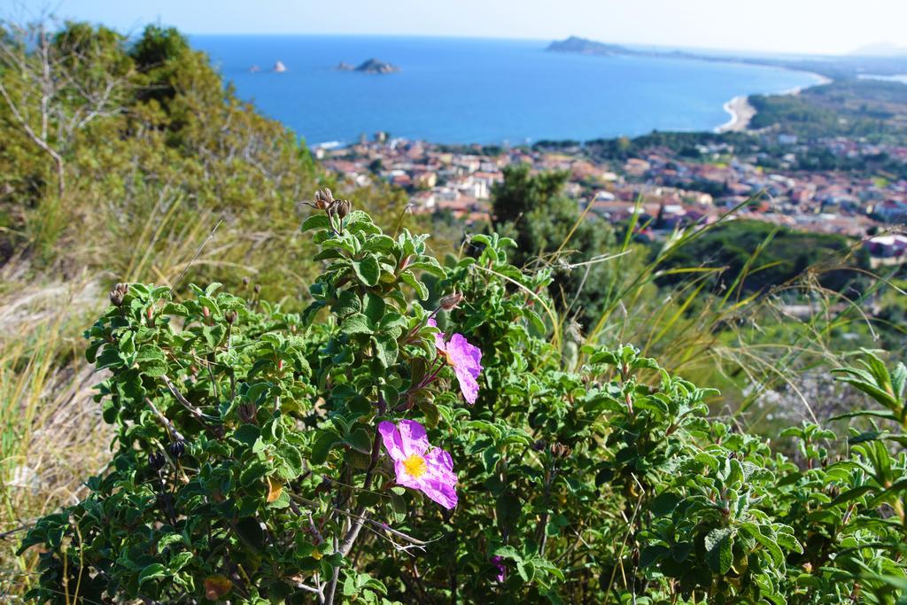 Appartamenti Da Vincenza Santa Maria Navarrese Exteriér fotografie
