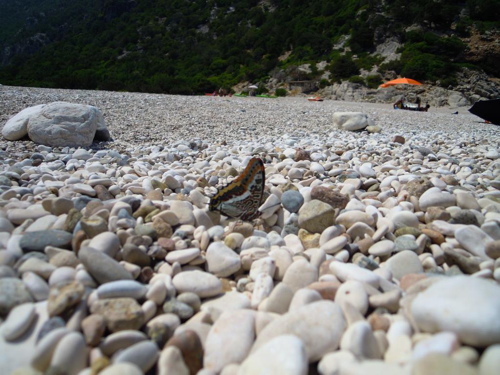Appartamenti Da Vincenza Santa Maria Navarrese Exteriér fotografie