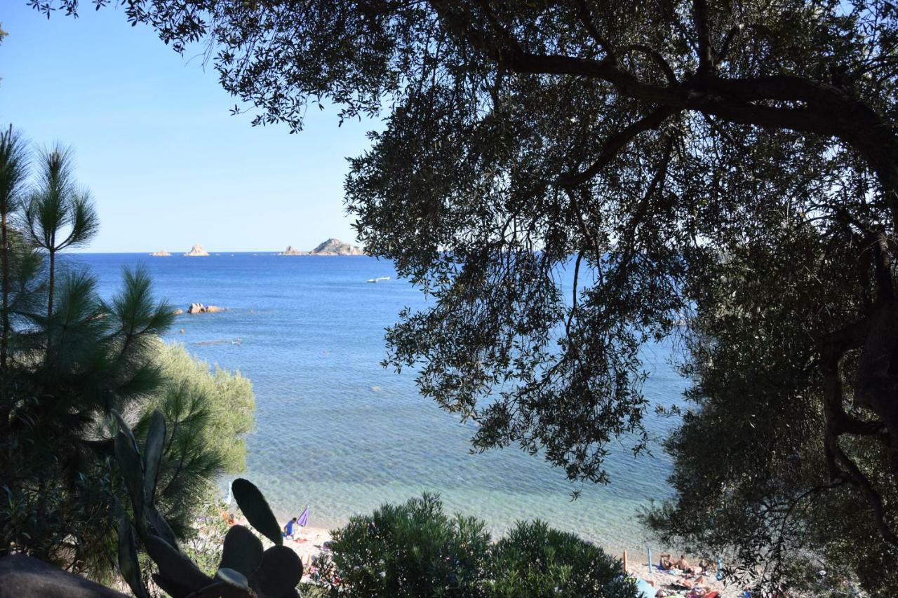 Appartamenti Da Vincenza Santa Maria Navarrese Exteriér fotografie